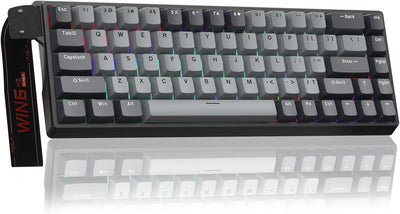 Mechanical keyboard with RGB backlighting on a white background